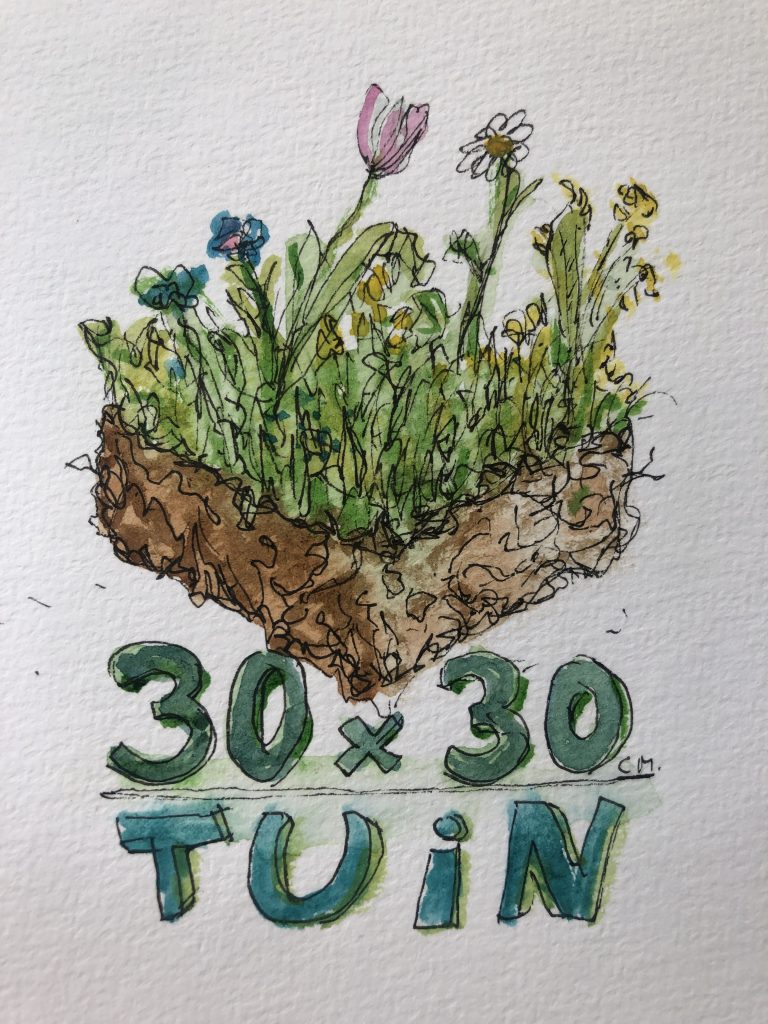 30×30 Garden